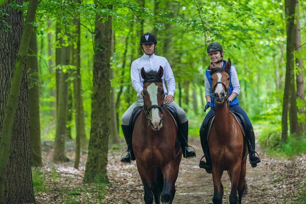 Hubertus Aparthotel & Restaurant & Horse Club Старогард-Гданьский Номер фото