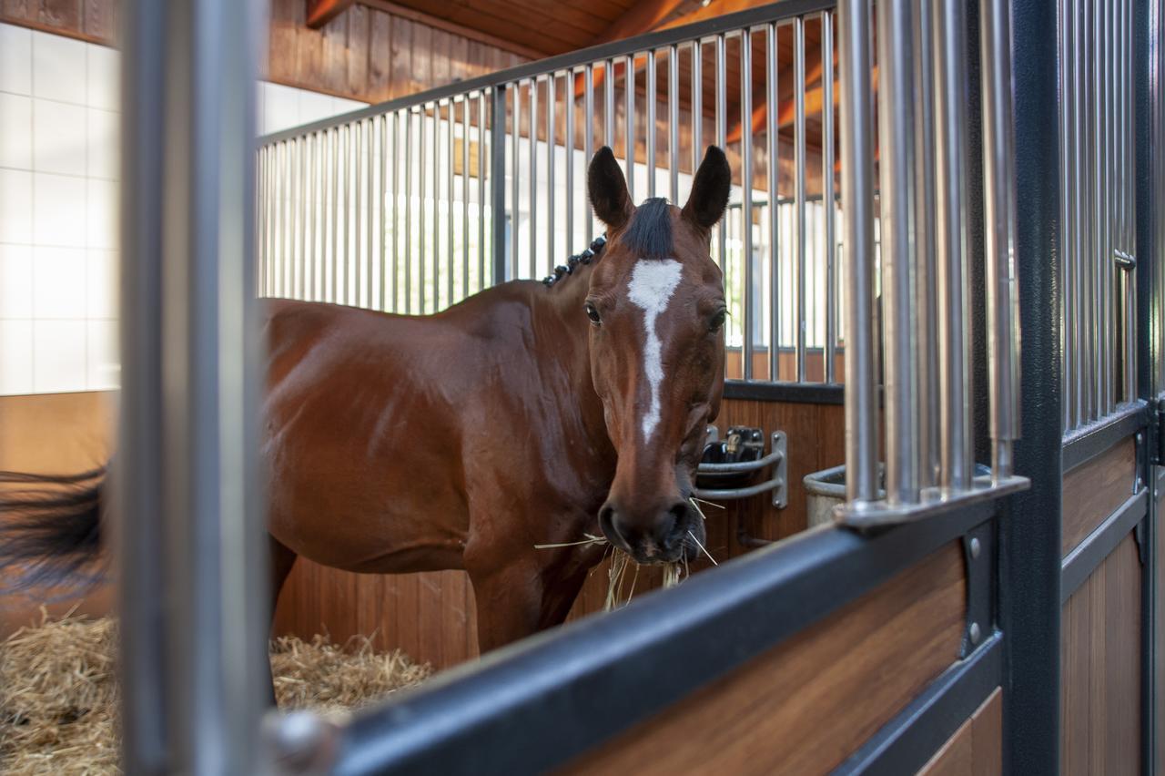 Hubertus Aparthotel & Restaurant & Horse Club Старогард-Гданьский Экстерьер фото